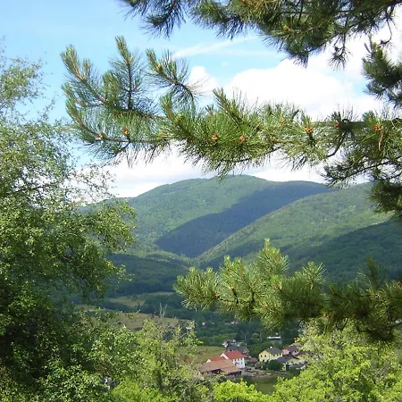 Gîte Léonline sur les hauteurs de Masevaux -au pied des Vosges Extérieur photo