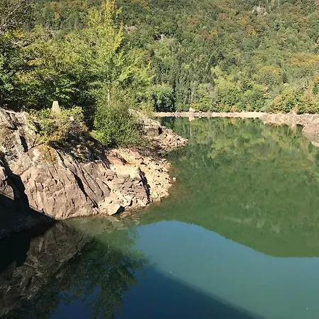 Gîte Léonline sur les hauteurs de Masevaux -au pied des Vosges Extérieur photo