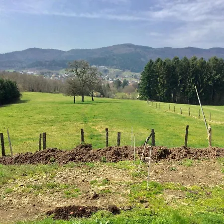 Gîte Léonline sur les hauteurs de Masevaux -au pied des Vosges Extérieur photo
