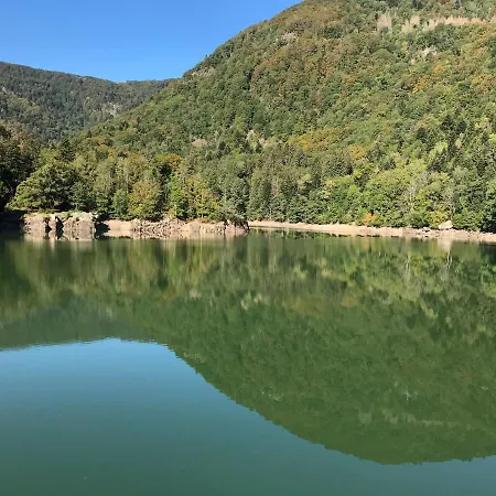 Gîte Léonline sur les hauteurs de Masevaux -au pied des Vosges Extérieur photo