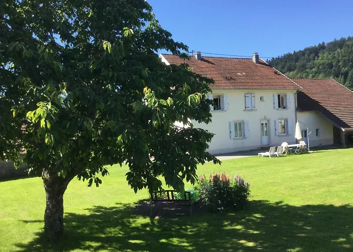 Gite Leonline Sur Les Hauteurs De Masevaux -Au Pied Des Vosges