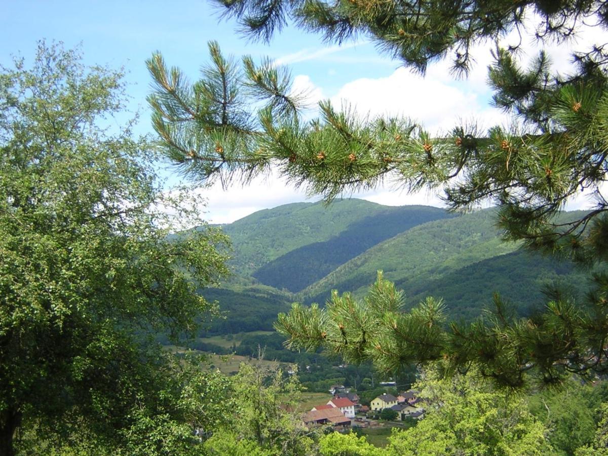 Leonline Sur Les Hauteurs De -au Pied Des Vosges * Masevaux-Niederbruck