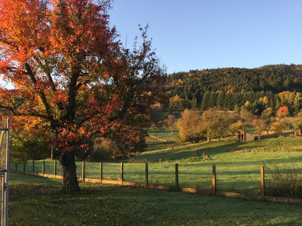 Leonline Sur Les Hauteurs De -au Pied Des Vosges