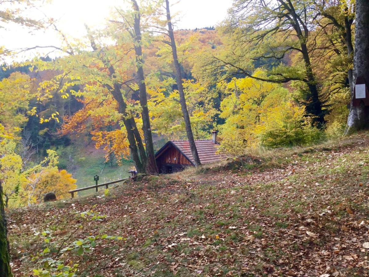 Leonline Sur Les Hauteurs De -au Pied Des Vosges *