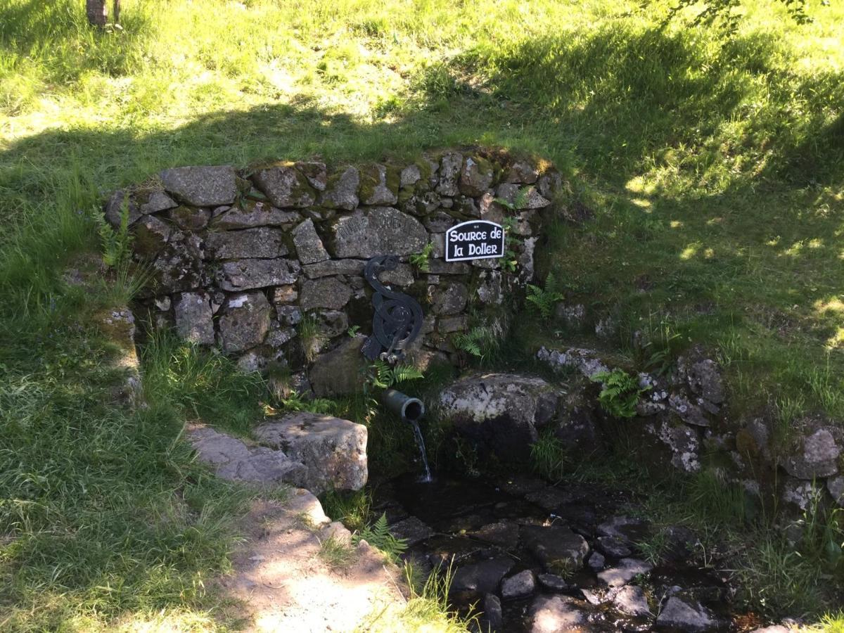 Leonline Sur Les Hauteurs De -au Pied Des Vosges * Masevaux-Niederbruck
