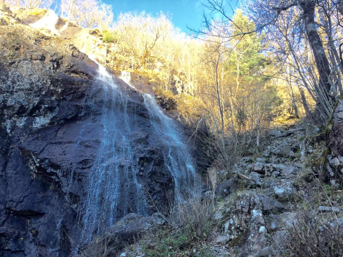 Leonline Sur Les Hauteurs De -au Pied Des Vosges Apartment Masevaux-Niederbruck