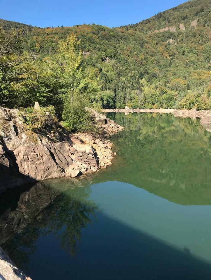 Leonline Sur Les Hauteurs De -au Pied Des Vosges Masevaux-Niederbruck