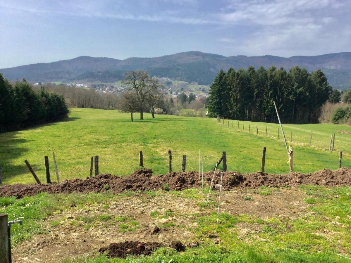 Apartment Leonline Sur Les Hauteurs De -au Pied Des Vosges *