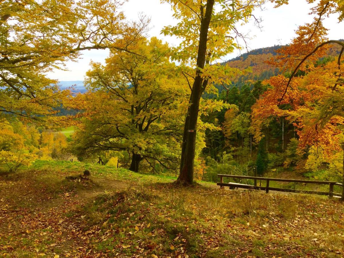 Apartment Leonline Sur Les Hauteurs De -au Pied Des Vosges *
