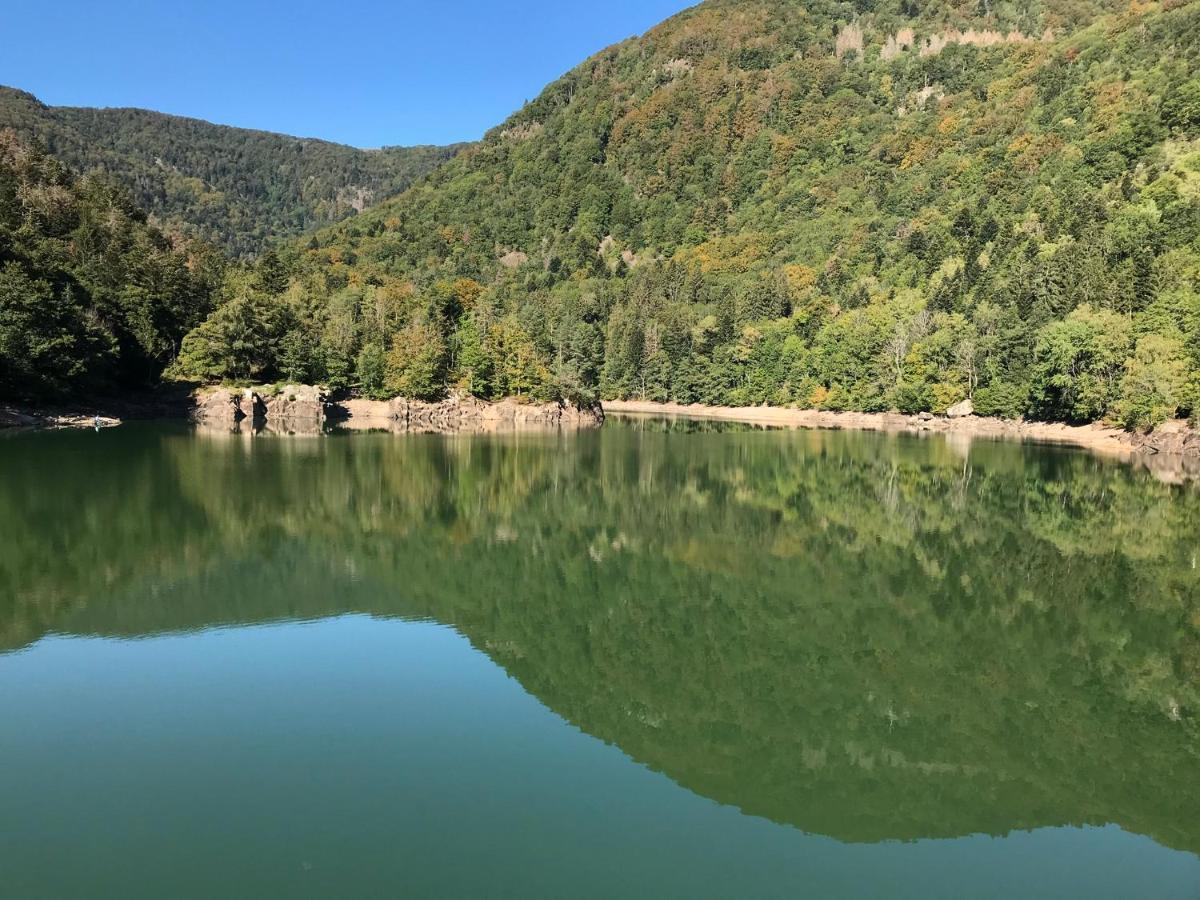 Apartment Leonline Sur Les Hauteurs De -au Pied Des Vosges *