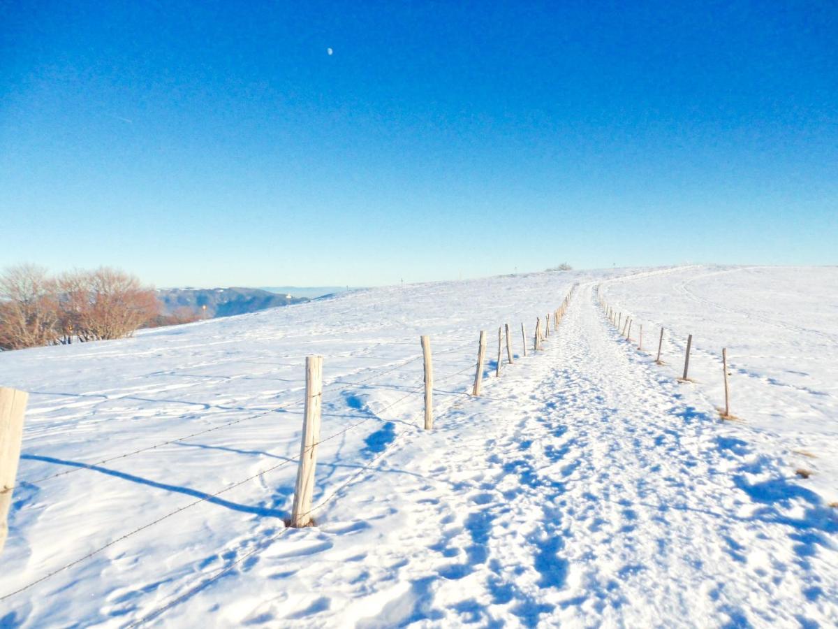 Leonline Sur Les Hauteurs De -au Pied Des Vosges Apartment *