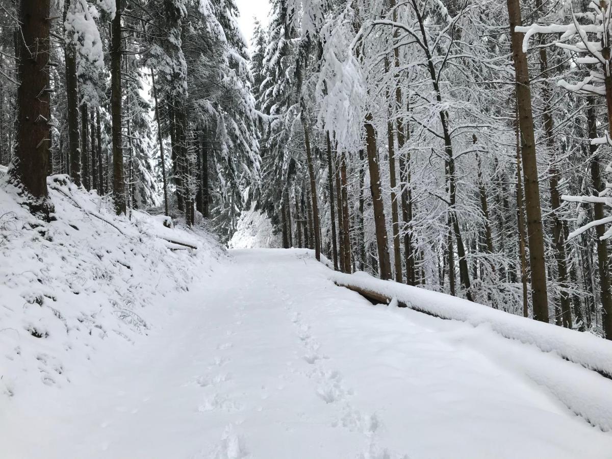 Leonline Sur Les Hauteurs De -au Pied Des Vosges