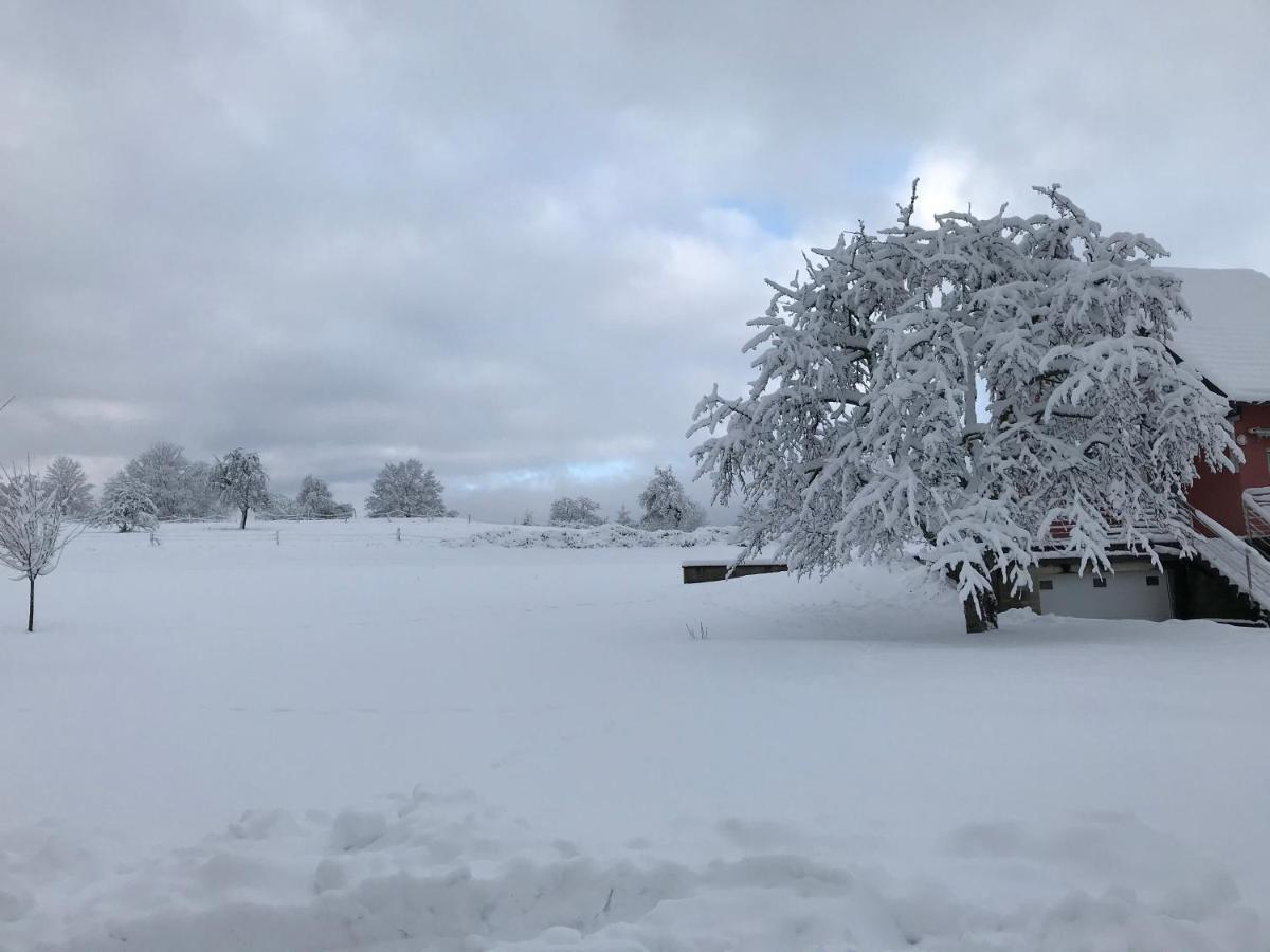 Leonline Sur Les Hauteurs De -au Pied Des Vosges * Masevaux-Niederbruck