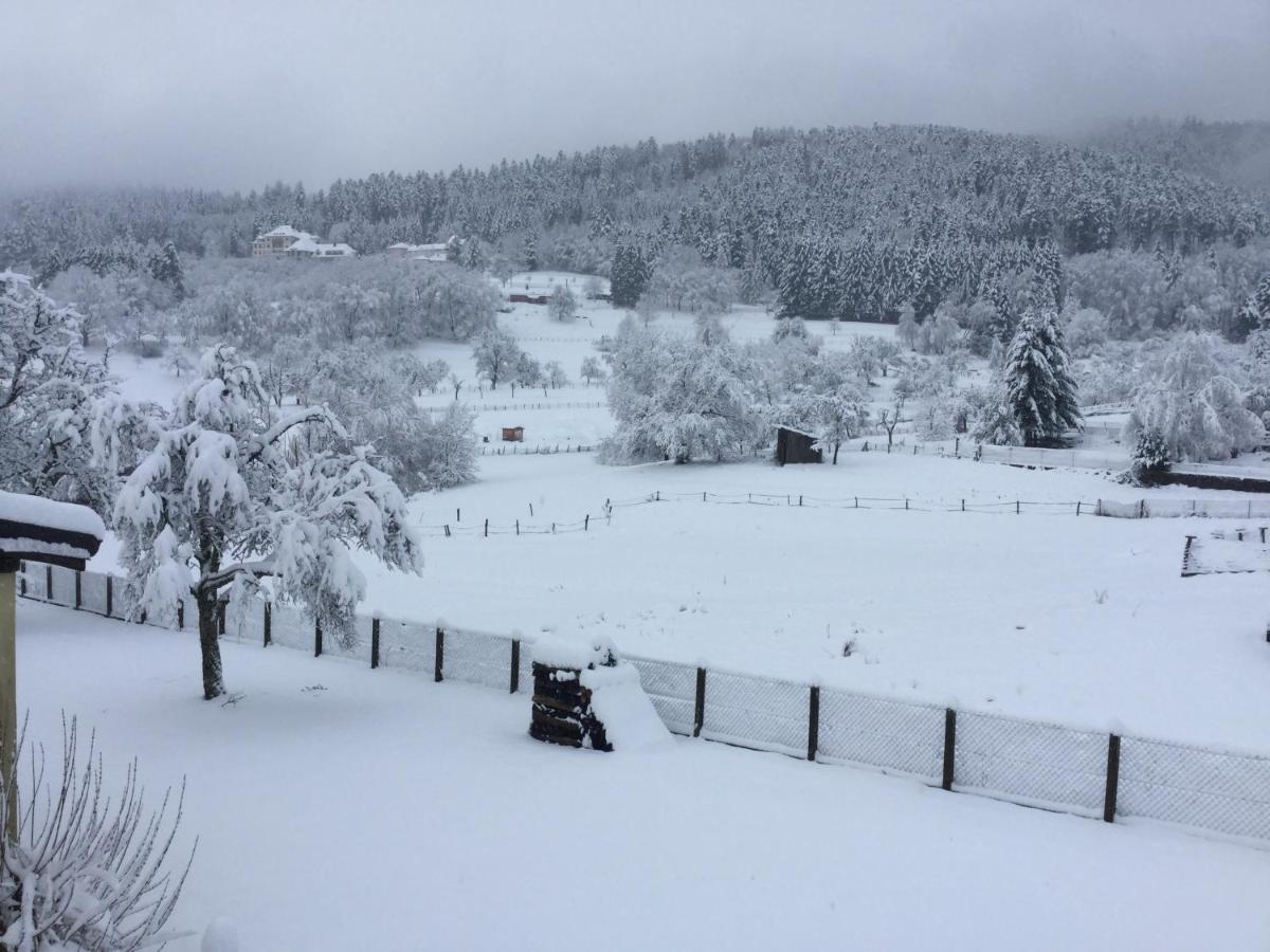 Apartment Leonline Sur Les Hauteurs De -au Pied Des Vosges Masevaux-Niederbruck