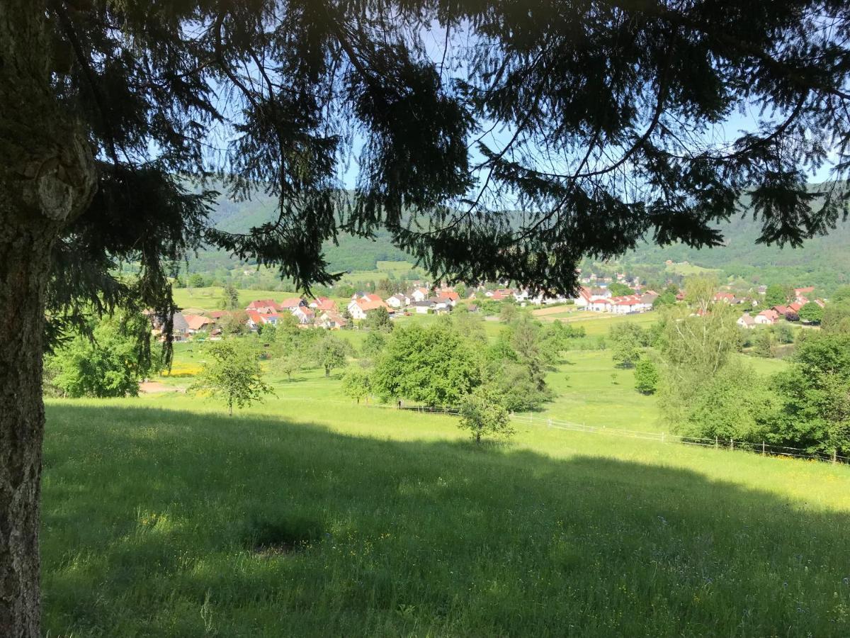 Leonline Sur Les Hauteurs De -au Pied Des Vosges Masevaux-Niederbruck